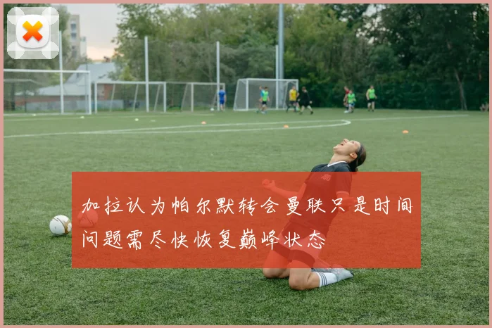 加拉认为帕尔默转会曼联只是时间问题需尽快恢复巅峰状态
